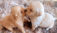 ��ë��Ȯ��ô�����