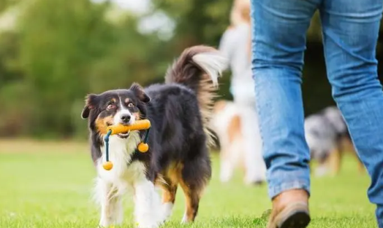 �����������ô����