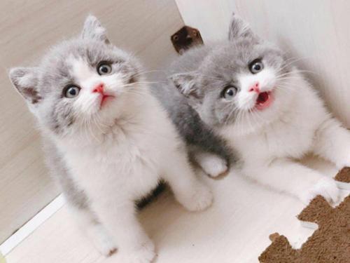 ��è��Ҫע����Щ���