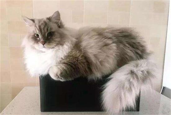 è������ϲ�������ߴ�������Ϊʲô��