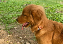 ��ëȮ�Ը��ص�������