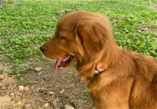 ��ëȮ�Ը��ص�������