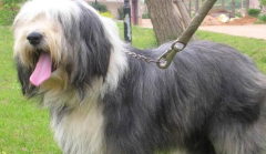 �չ����깷��ע������