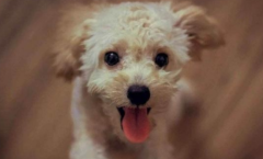 ��������ϸСһ�㰾��������