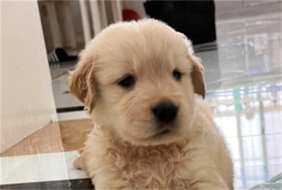 ��ô���ý�ë��ë��ÿ���