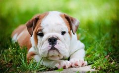 ������С����������������ô����