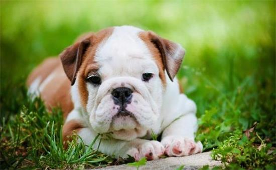 ������С����������������ô����