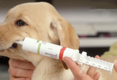 ����ע������ʧ�ܵ�ԭ��