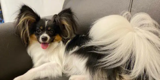 ���������г����ô����