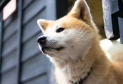 �����۾���������ô��