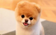 ����������ô����