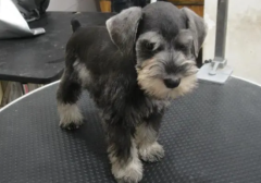 ��θ�ѩ�������ݵ�5����֪