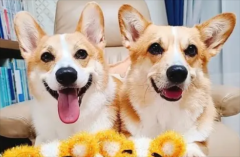 �����ѡ�»���Ȯ?