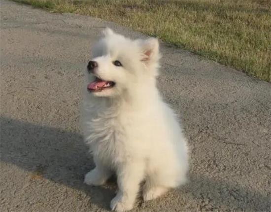 ѵ����Ȯ����ȷ����