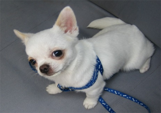 ������֫������·û������ô���£�