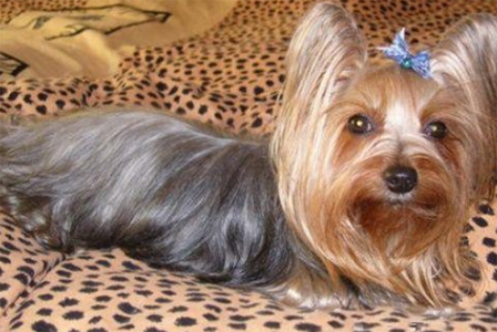 ˿ë����Լ���ĵ�����