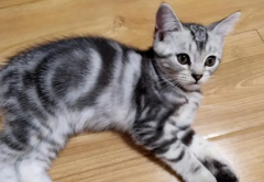 è��ҩ���ж��к�֢״��������ƣ�