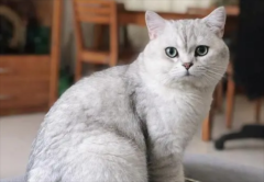 è������������