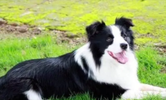 ������ë���������ĸ����̸���