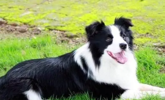 ������ë���������ĸ����̸���