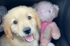 ��ë��ëʱ������ô������