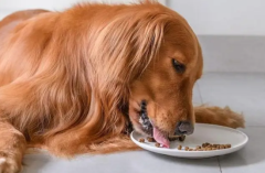 �����ѡ��ë��ëȮ������