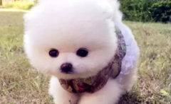 ��ô����С���Ը�ðҩ��