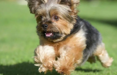 ������������ô�죿�ڼ�ѵ��������5��������