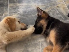 ��ë���������Ը���ô��