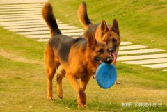 �Թ����к���ˮ��