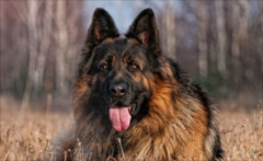 ��������Ȯ���ѵ��