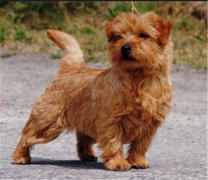 �Ҽ�С������ϡ��Ż�£����Զ���