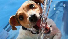 �������ؾ���������ҩ��