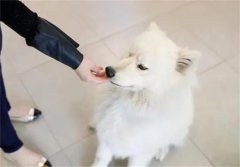 ��ô������ĦҮ������