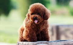 ����������ϡ��ô��?