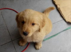 ��ë��������ô������