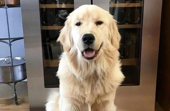 ���˲��ڼҽ�ë����������