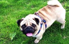 �͸�Ȯ����ѡ������ʲô