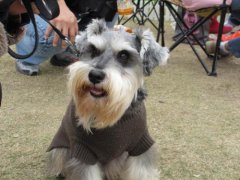 ��ô�ù���������������������ôѵ��