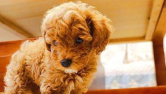 ̩��ʲôʱ�������ϰ������·��