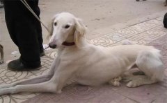 ��������һ��һ�ε���ʲô����