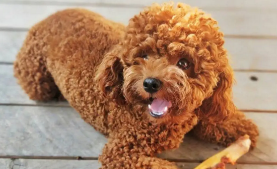 ����ѵ������������������