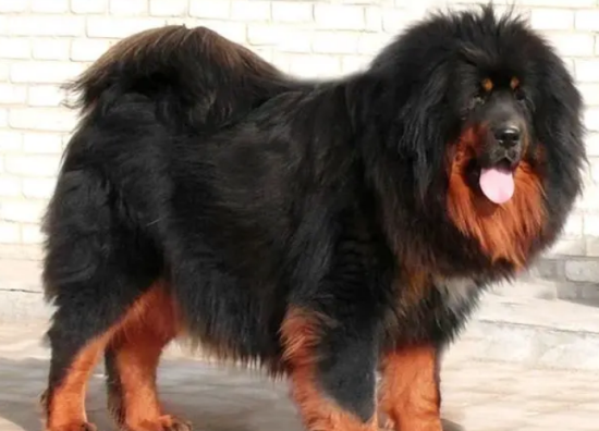 �����ǳ����ҽ���ô��