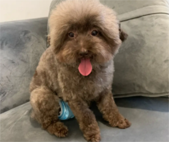 Ϊʲôĸ�������