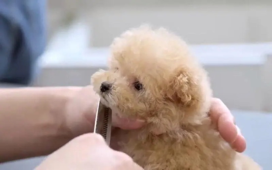 ĸ����������ô����ģ�