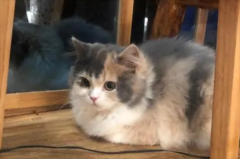 è����ʳ��ô����ô����