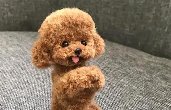 ������������ô�죿����ȥ��׼û��