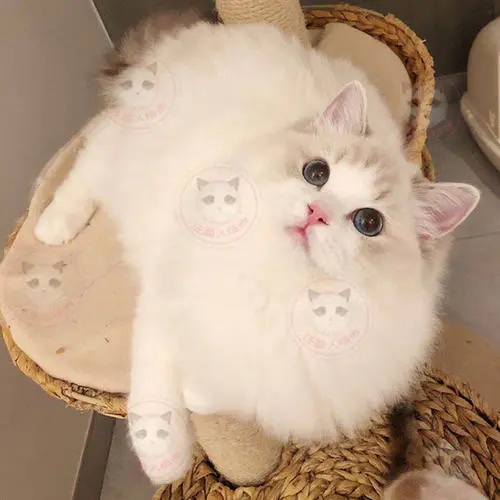 è�����Ժ����ʲô�仯?