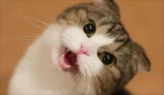 è�������ô����?