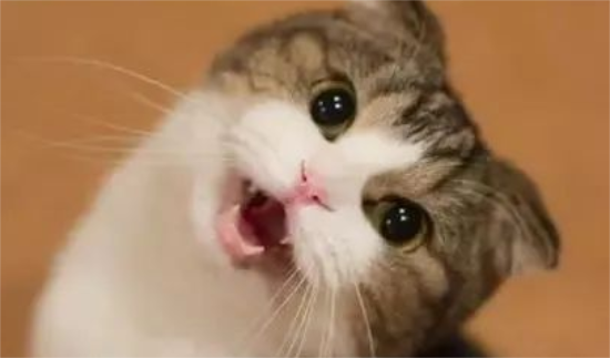 è�������ô����?